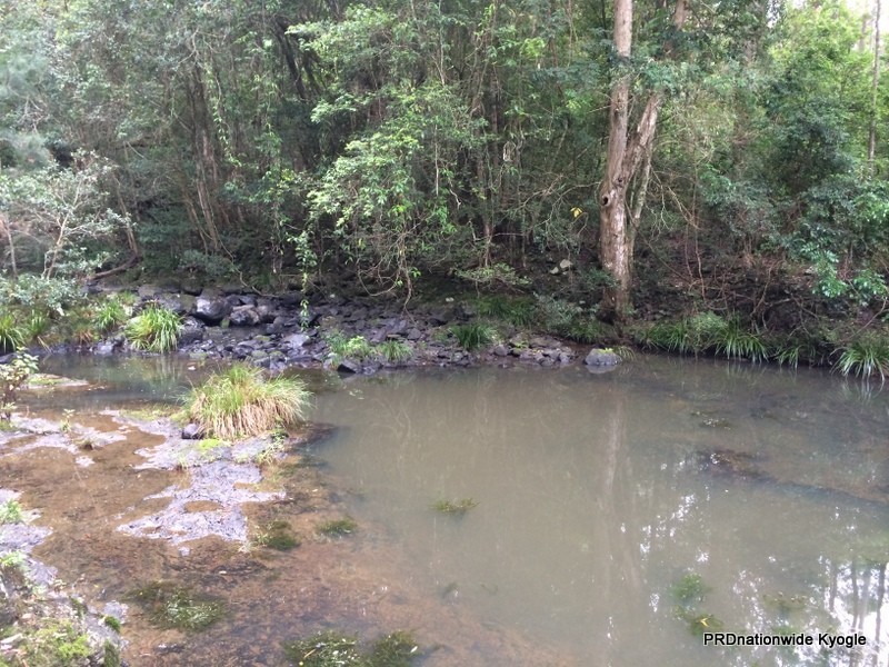 98 Campbell Road, Stony Chute NSW 2480