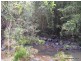 98 Campbell Road, Stony Chute NSW 2480