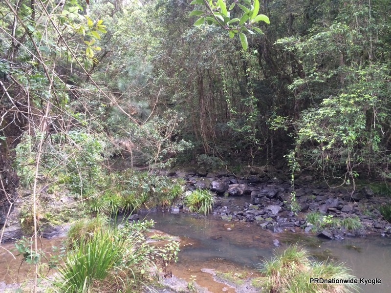 98 Campbell Road, Stony Chute NSW 2480