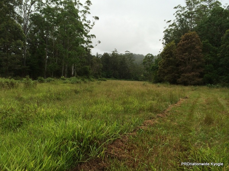 98 Campbell Road, Stony Chute NSW 2480