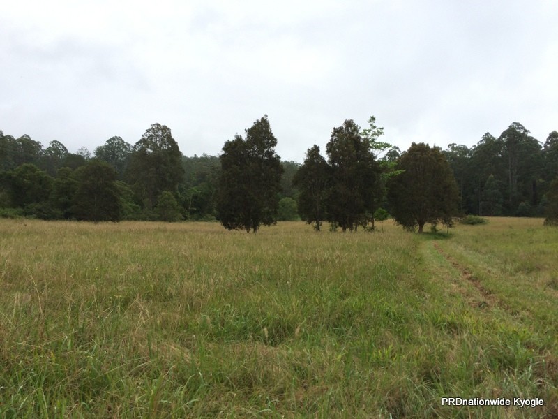 98 Campbell Road, Stony Chute NSW 2480