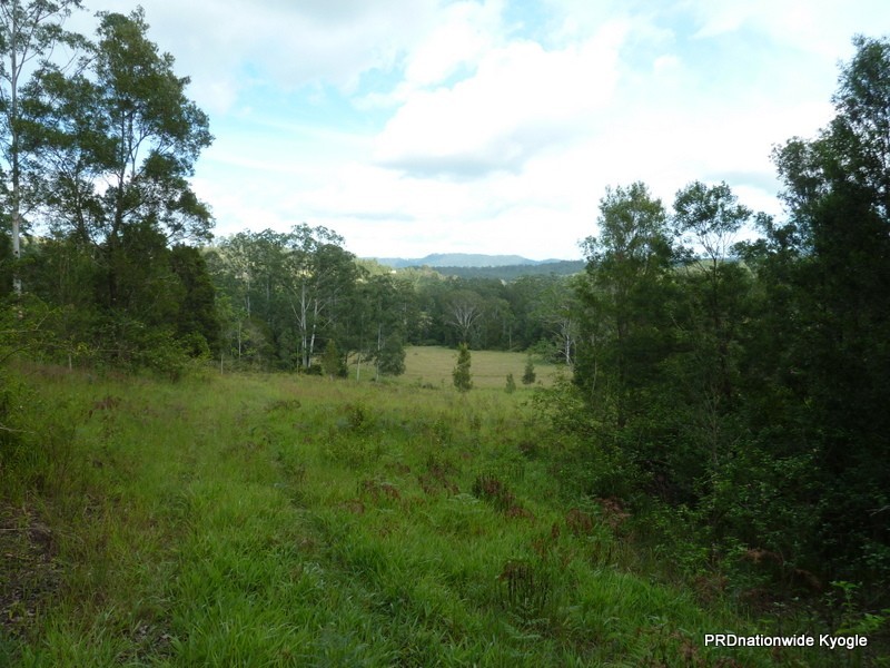 98 Campbell Road, Stony Chute NSW 2480