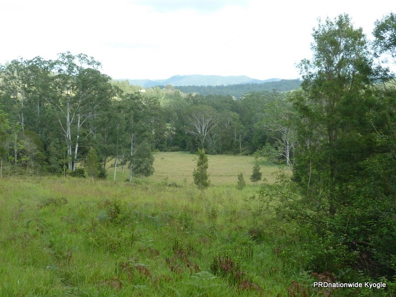 98 Campbell Road, Stony Chute NSW 2480
