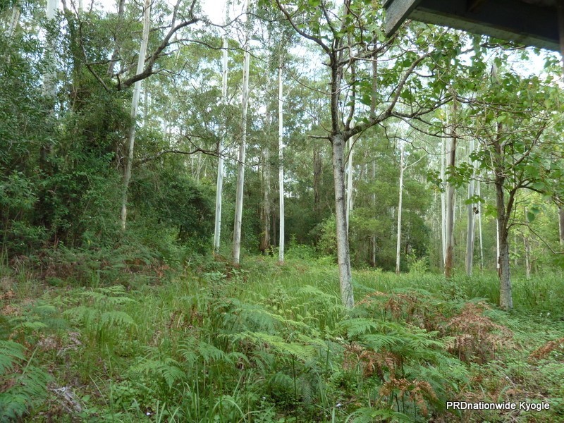 98 Campbell Road, Stony Chute NSW 2480
