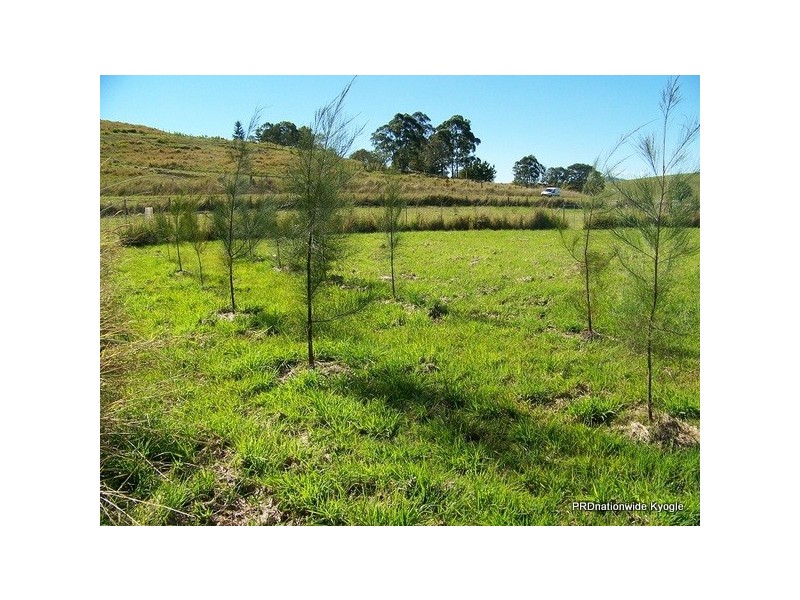 12 Pines Road, Kyogle NSW 2474