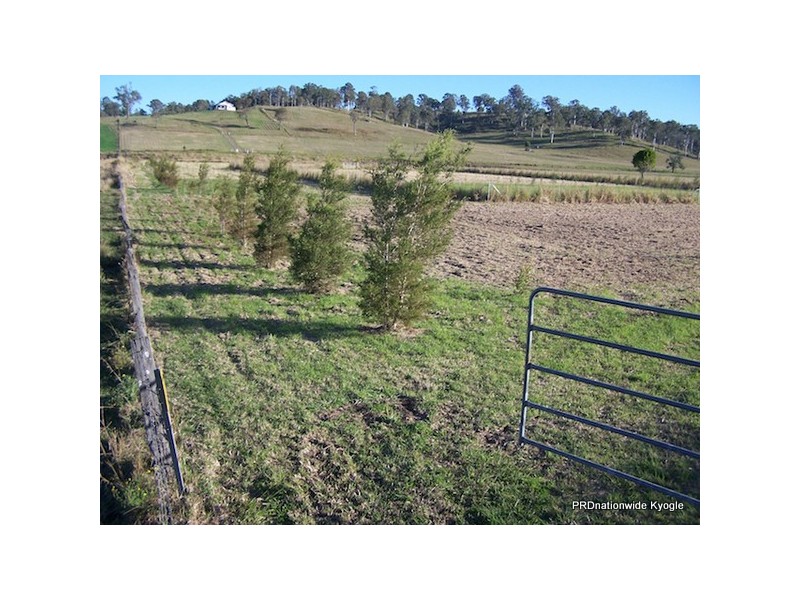 12 Pines Road, Kyogle NSW 2474