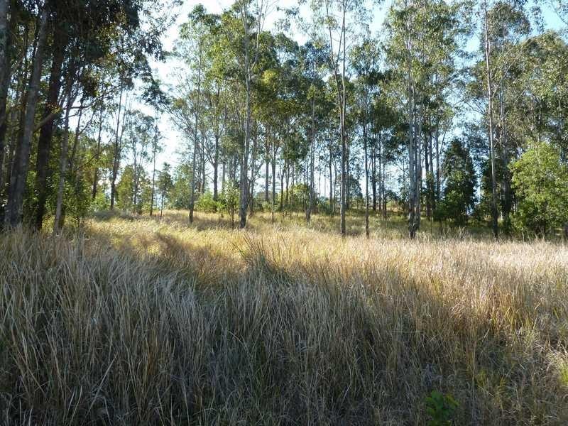 9 Johnson Street, Bonalbo NSW 2469