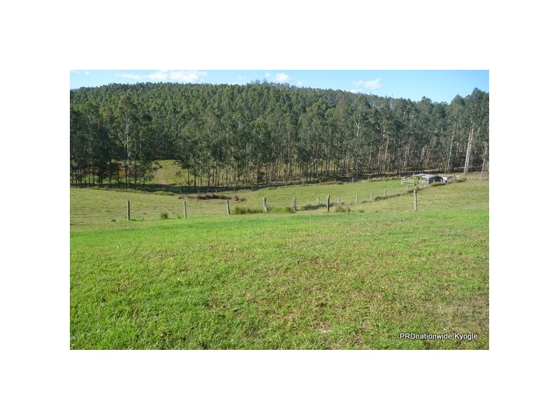 38 Lindsay Creek Road VIA Woodenbong, Kyogle NSW 2474