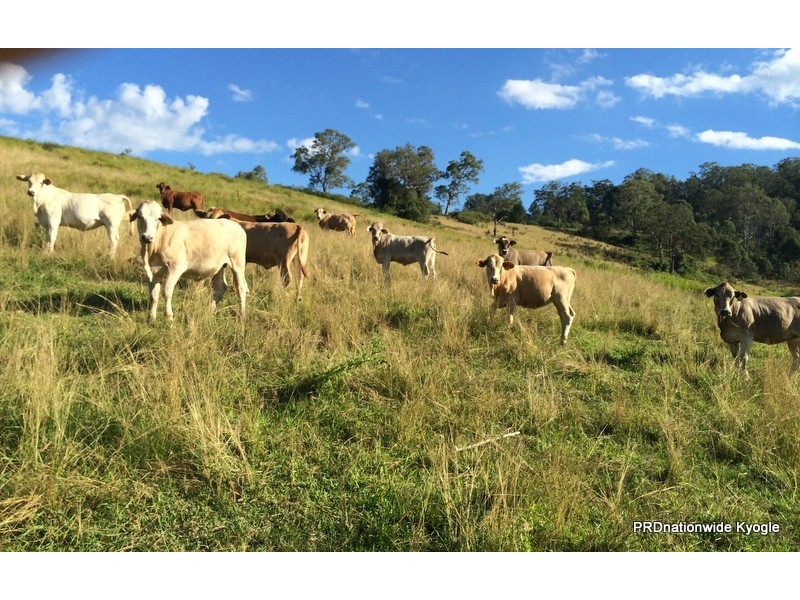 270 O’Donnell Creek Road, Kyogle NSW 2474