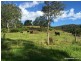 270 O’Donnell Creek Road, Kyogle NSW 2474