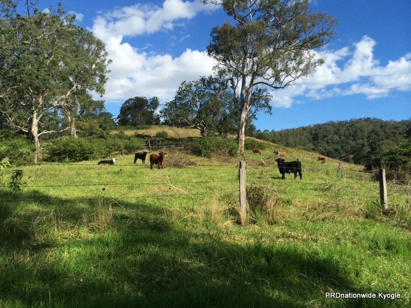 270 O’Donnell Creek Road, Kyogle NSW 2474