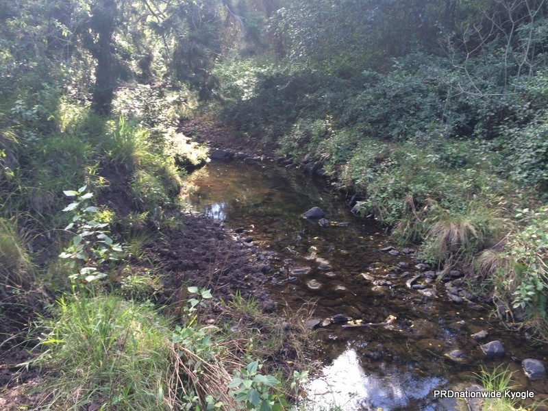 270 O’Donnell Creek Road, Kyogle NSW 2474