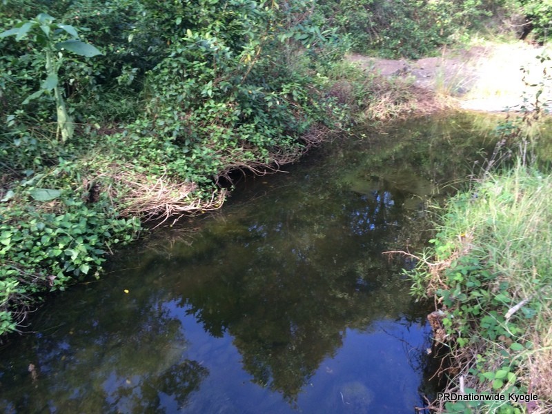 270 O’Donnell Creek Road, Kyogle NSW 2474