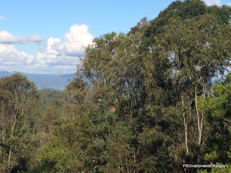 270 O’Donnell Creek Road, Kyogle NSW 2474