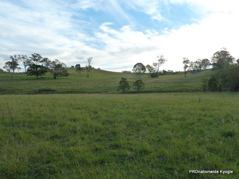 427 Homeleigh Rd, Kyogle NSW 2474
