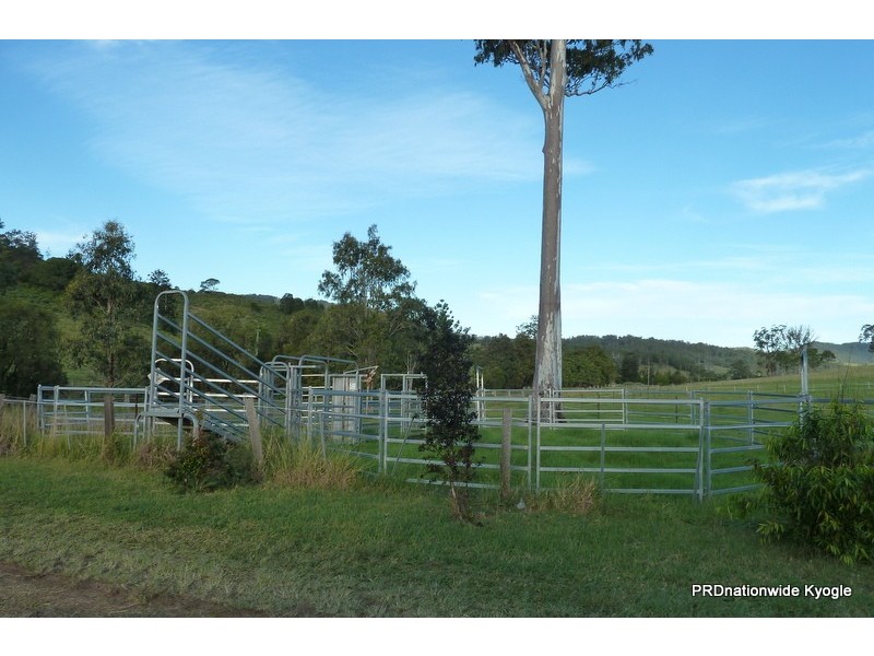 427 Homeleigh Rd, Kyogle NSW 2474