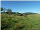 427 Homeleigh Rd, Kyogle NSW 2474