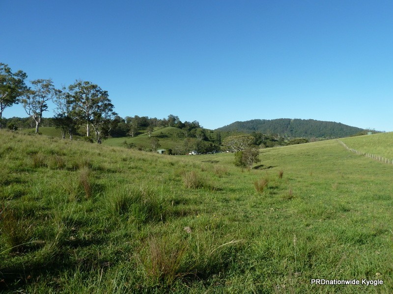 427 Homeleigh Rd, Kyogle NSW 2474