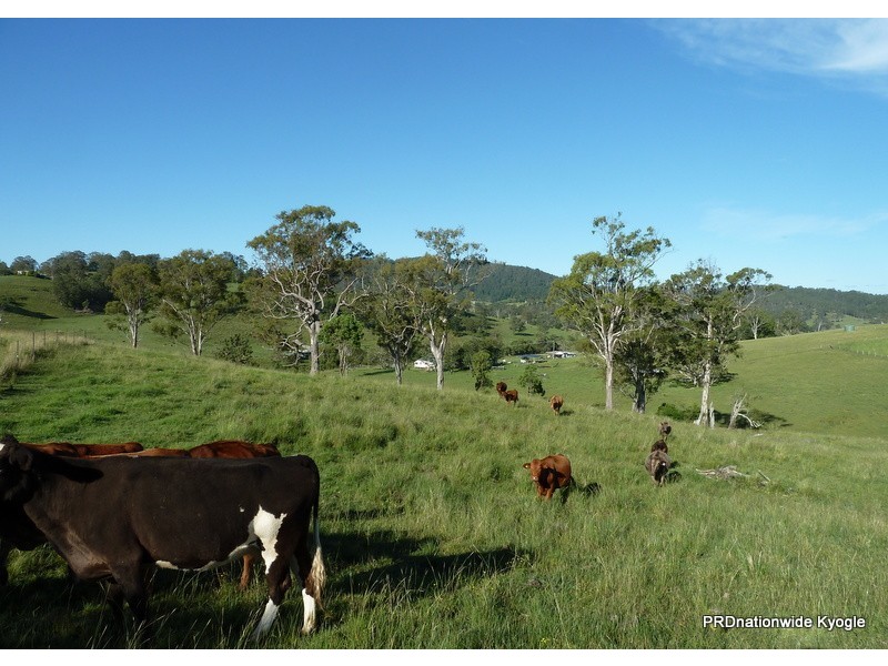 427 Homeleigh Rd, Kyogle NSW 2474
