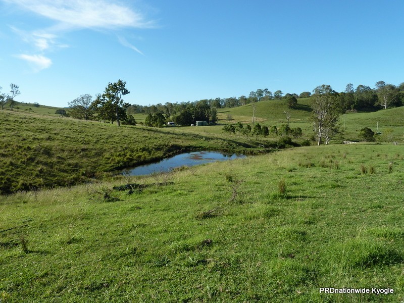 427 Homeleigh Rd, Kyogle NSW 2474
