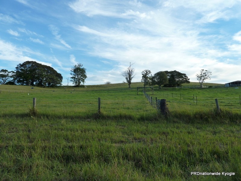 427 Homeleigh Rd, Kyogle NSW 2474
