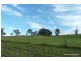 427 Homeleigh Rd, Kyogle NSW 2474