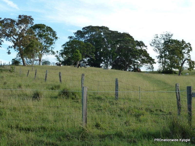 427 Homeleigh Rd, Kyogle NSW 2474