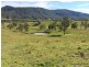 303 Sherwoods Rd, Kyogle NSW 2474