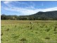 303 Sherwoods Rd, Kyogle NSW 2474