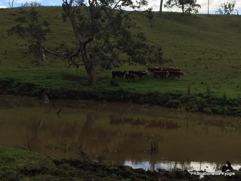 303 Sherwoods Rd, Kyogle NSW 2474