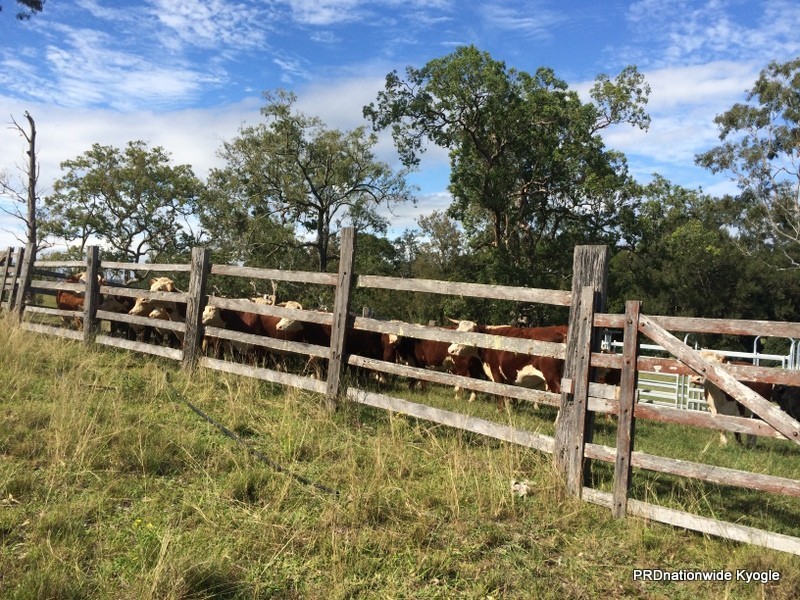 303 Sherwoods Rd, Kyogle NSW 2474