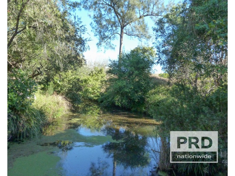 1411 Afterlee Road, Kyogle NSW 2474