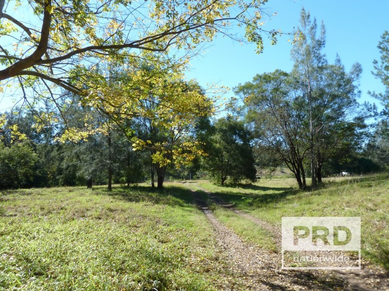 1411 Afterlee Road, Kyogle NSW 2474