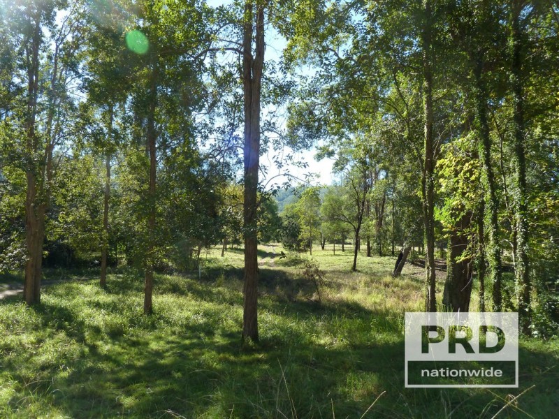 1411 Afterlee Road, Kyogle NSW 2474