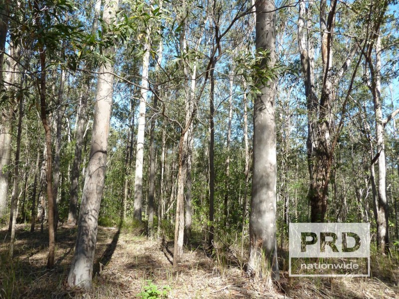 1411 Afterlee Road, Kyogle NSW 2474