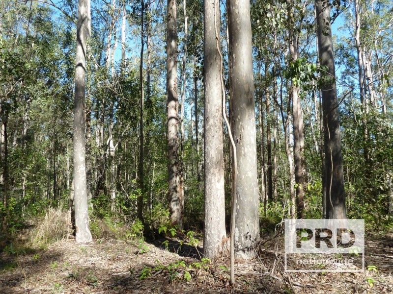 1411 Afterlee Road, Kyogle NSW 2474