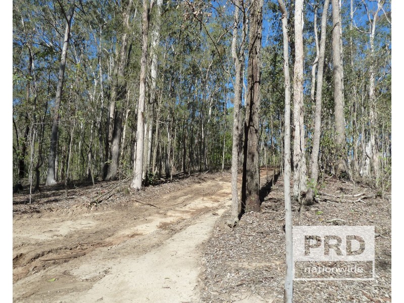 1411 Afterlee Road, Kyogle NSW 2474