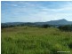 188 Lynches Creek Road, Kyogle NSW 2474