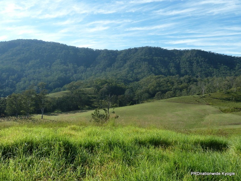 188 Lynches Creek Road, Kyogle NSW 2474