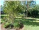 20 Saville Street, Kyogle NSW 2474