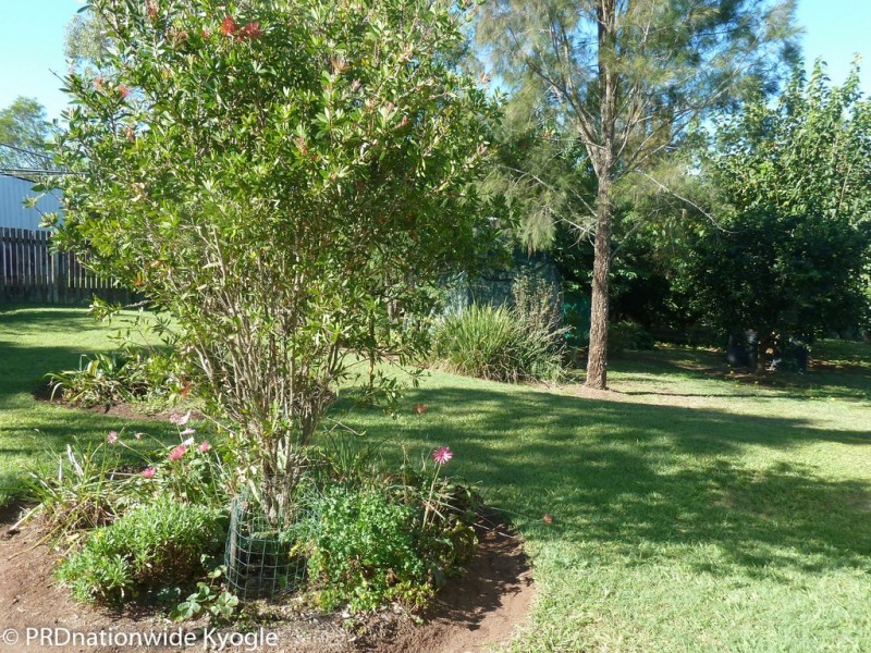 20 Saville Street, Kyogle NSW 2474