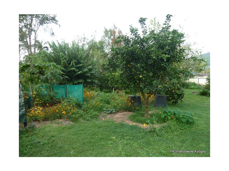 20 Saville Street, Kyogle NSW 2474