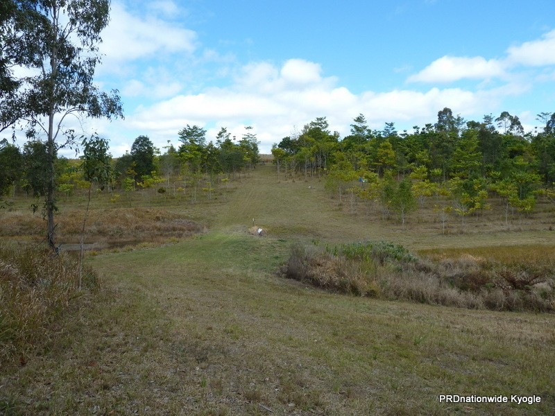 Green Pigeon NSW 2474