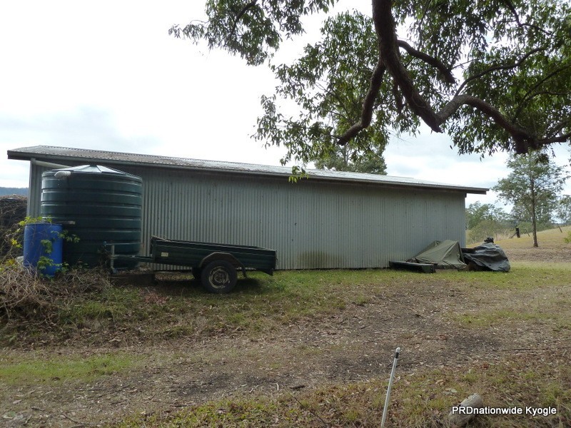 Green Pigeon NSW 2474