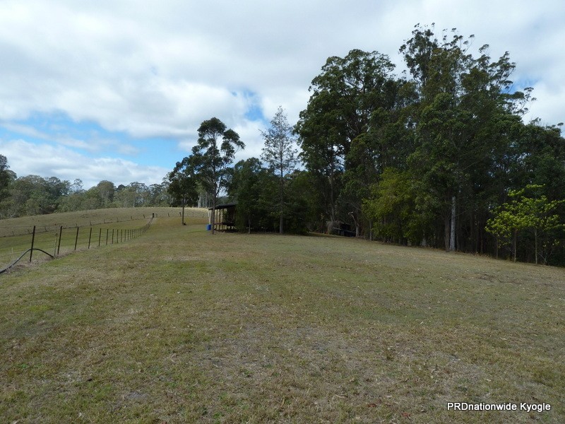 Green Pigeon NSW 2474