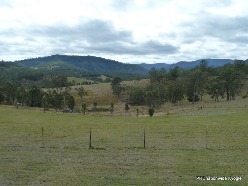 Green Pigeon NSW 2474