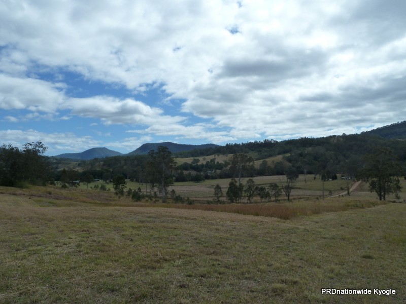 Green Pigeon NSW 2474