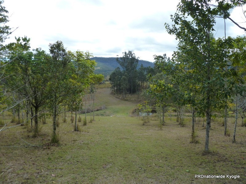 Green Pigeon NSW 2474