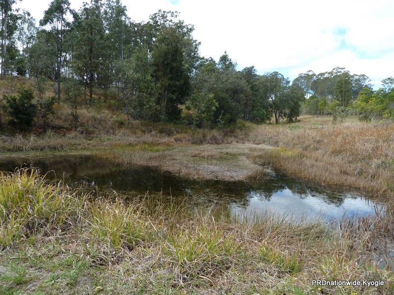 Green Pigeon NSW 2474