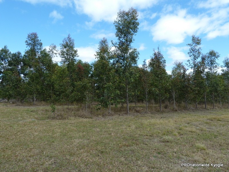 Green Pigeon NSW 2474